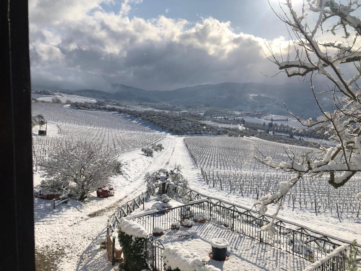 Azienda Agricola Il Poggiolino Villa Pelago Exterior foto